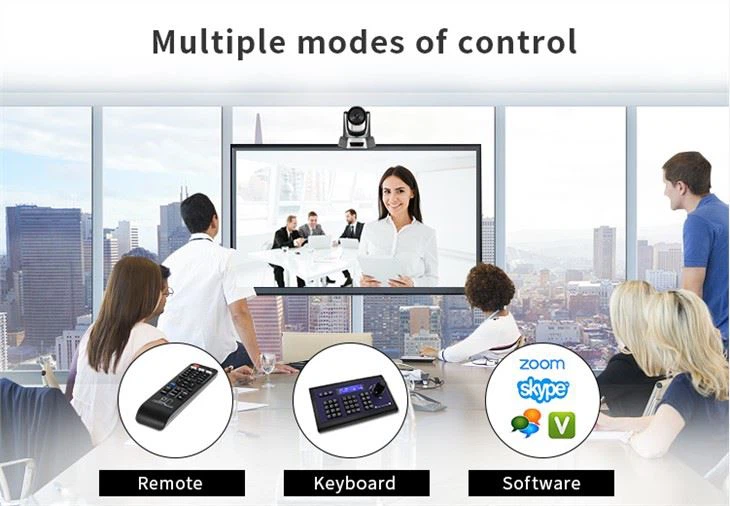 Cheap Video Conferencing Solution